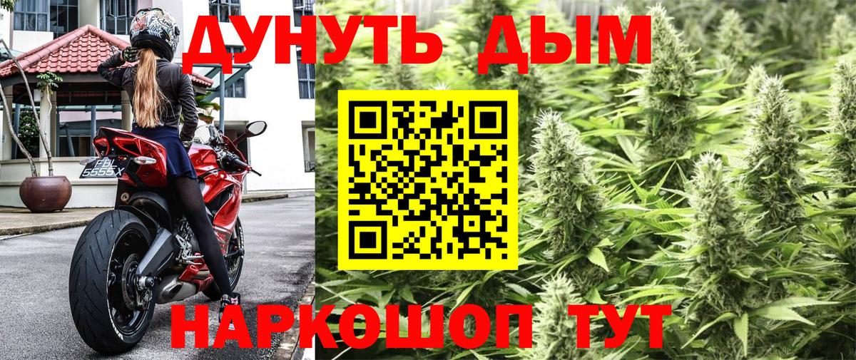 Новокубанск  Бошки Шишки планчик  Вход с VPN  Шишки марихуана Ganja 
